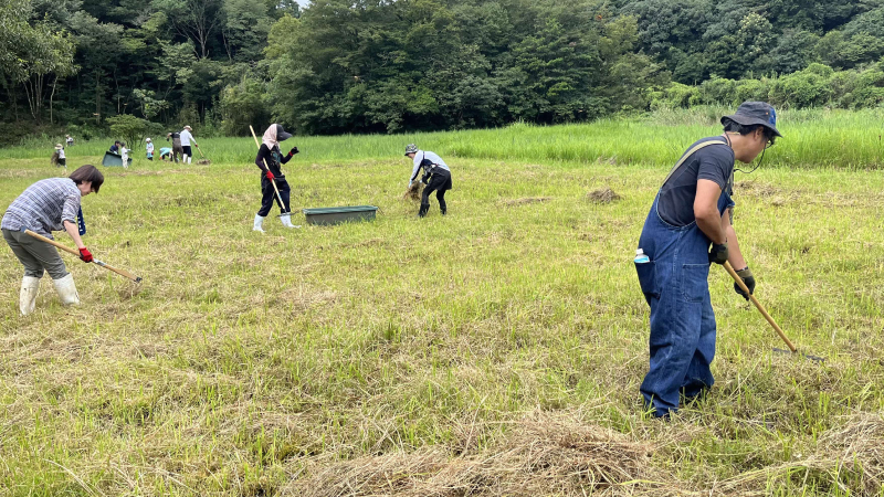 球磨川流域「緑の流域治水プロジェクト」の活動