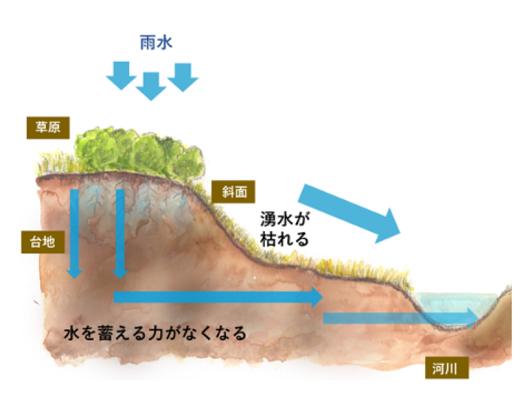 放置された台地と谷津の水循環の状態